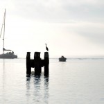 Mist aan het water van het Haringvliet (Hellevoetsluis okt-2013)