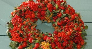 2006-08 De zomer samengevat in bloem en kleur op de Landgoed Fair Mariënwaerdt (Beesd)