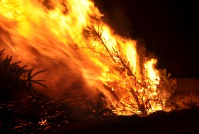 Kerstboom verbranding in Hellevoetsluis