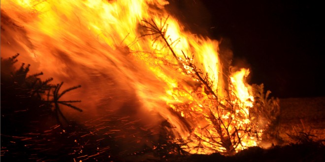 Kerstboom verbranding in Hellevoetsluis