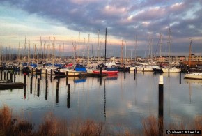 Het Weer in Januari – foto overzicht