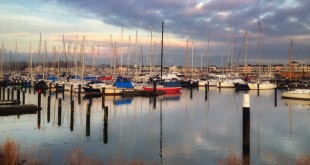 2014-01 Rustig in de Helius jachthaven (Hellevoetsluis)